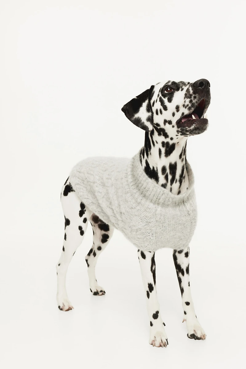 Cable-Knit Dog Sweater