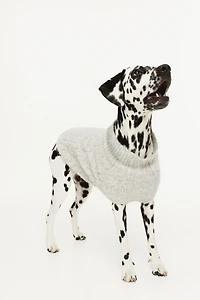 Cable-Knit Dog Sweater