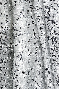 Sequined Pencil Skirt