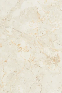 Planche de service en marbre