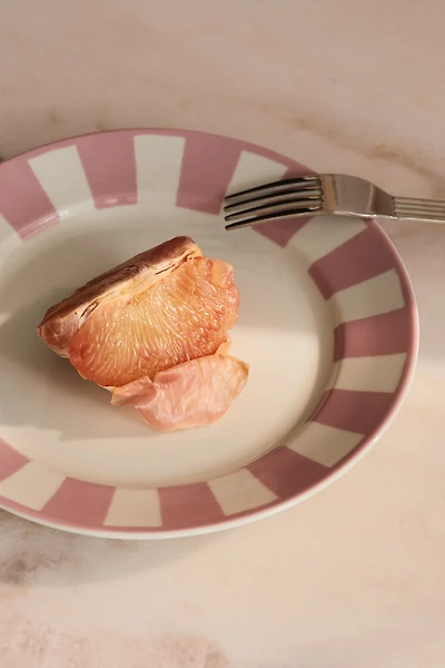 Medium-Sized Porcelain Plate