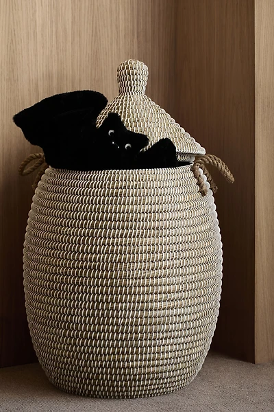 Peluche chauve-souris