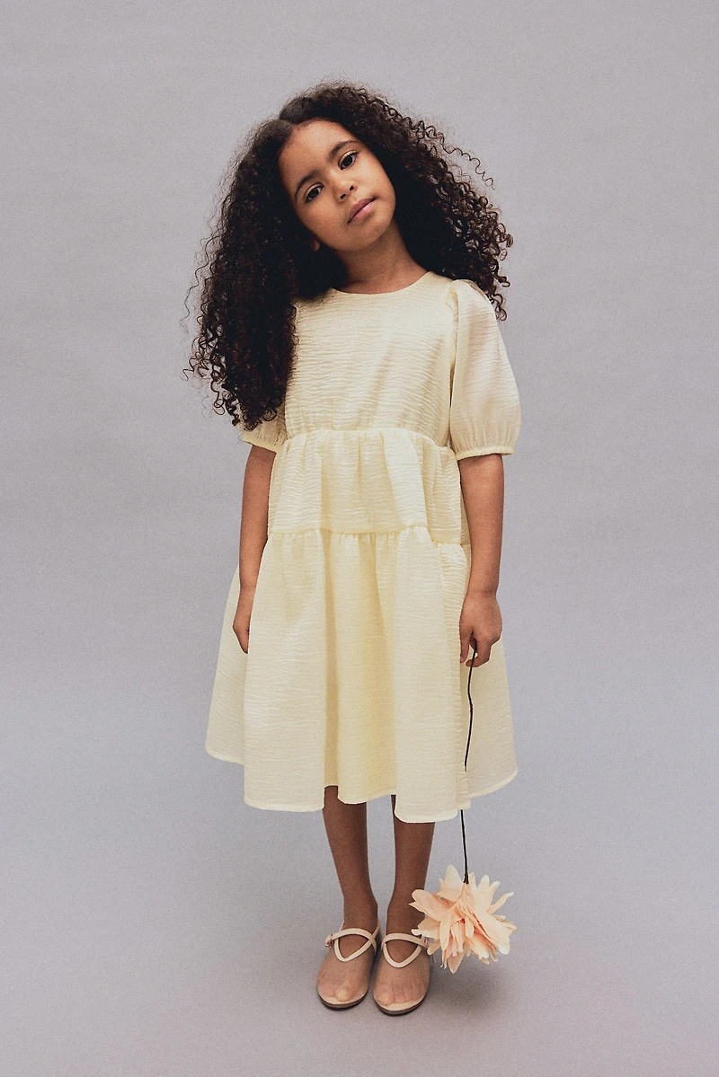 Patterned Organza Dress