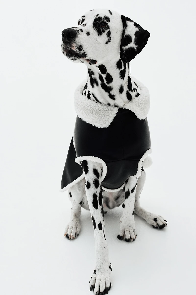 Veste pour chien en tissu enduit
