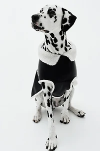 Veste pour chien en tissu enduit