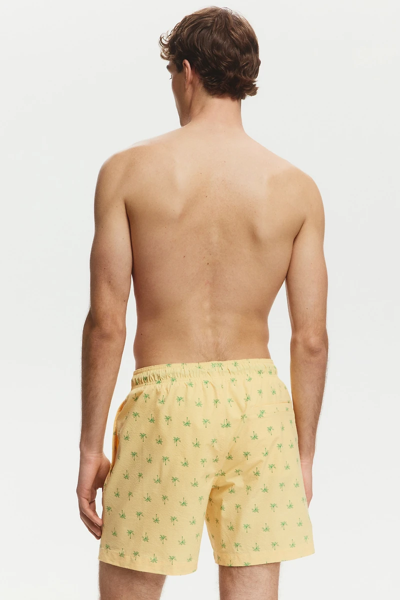 Seersucker Swim Shorts