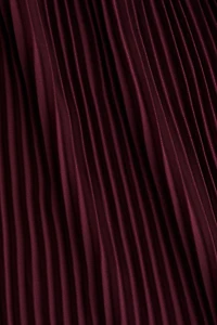 Jupe en mousseline plissée