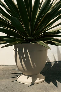 Grand pot de fleurs en métal