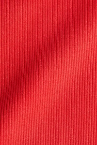 Ribbed Tube Dress