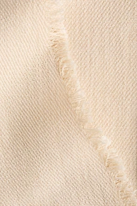 Frayed-Edge Twill Dress