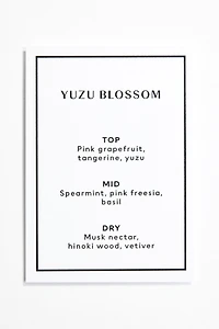 Large Scented Candle with Cork Lid