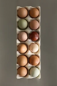 Reactive-Glaze Egg Tray