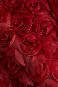 Minirobe bandeau avec appliqués