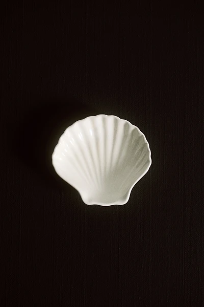 Shell-Shaped Mini Plate