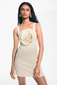 Appliquéd Dress