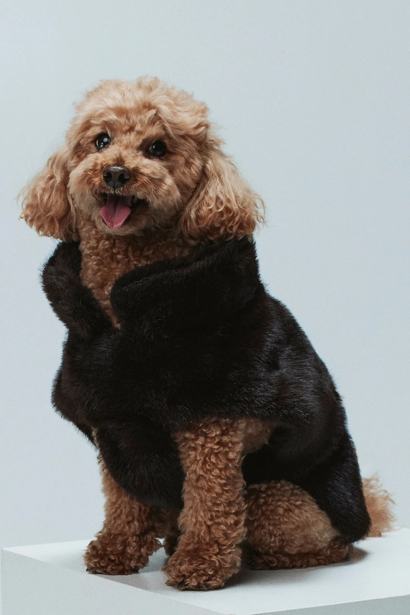 Manteau duveteux pour chien