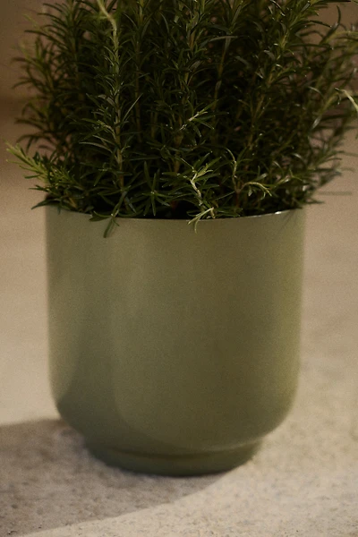 Large Metal Plant Pot