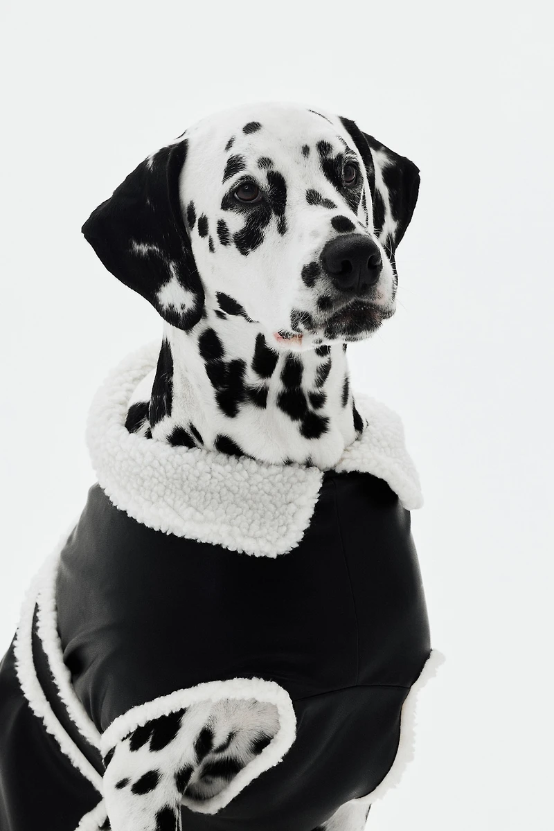 Veste pour chien en tissu enduit