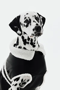 Veste pour chien en tissu enduit