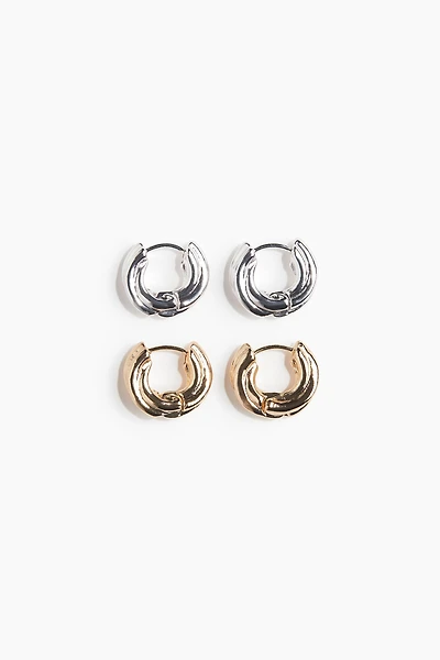 2 pairs hoop earrings