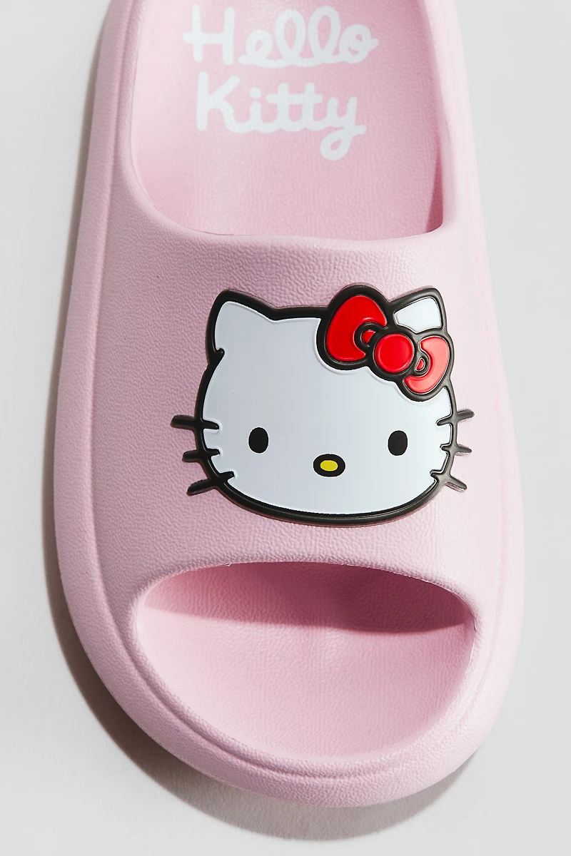 Molded Pool Slide Shoes