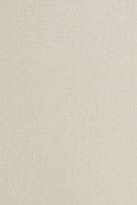 Collant scintillant