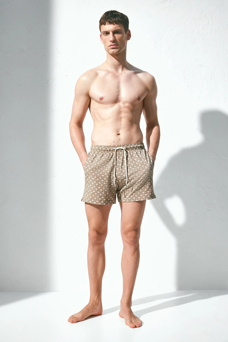 Seersucker Swim Shorts