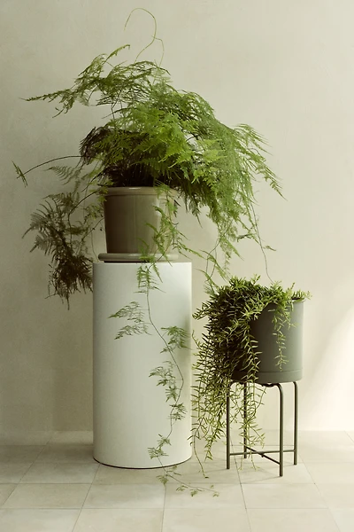 Metal Plant Pot with Stand