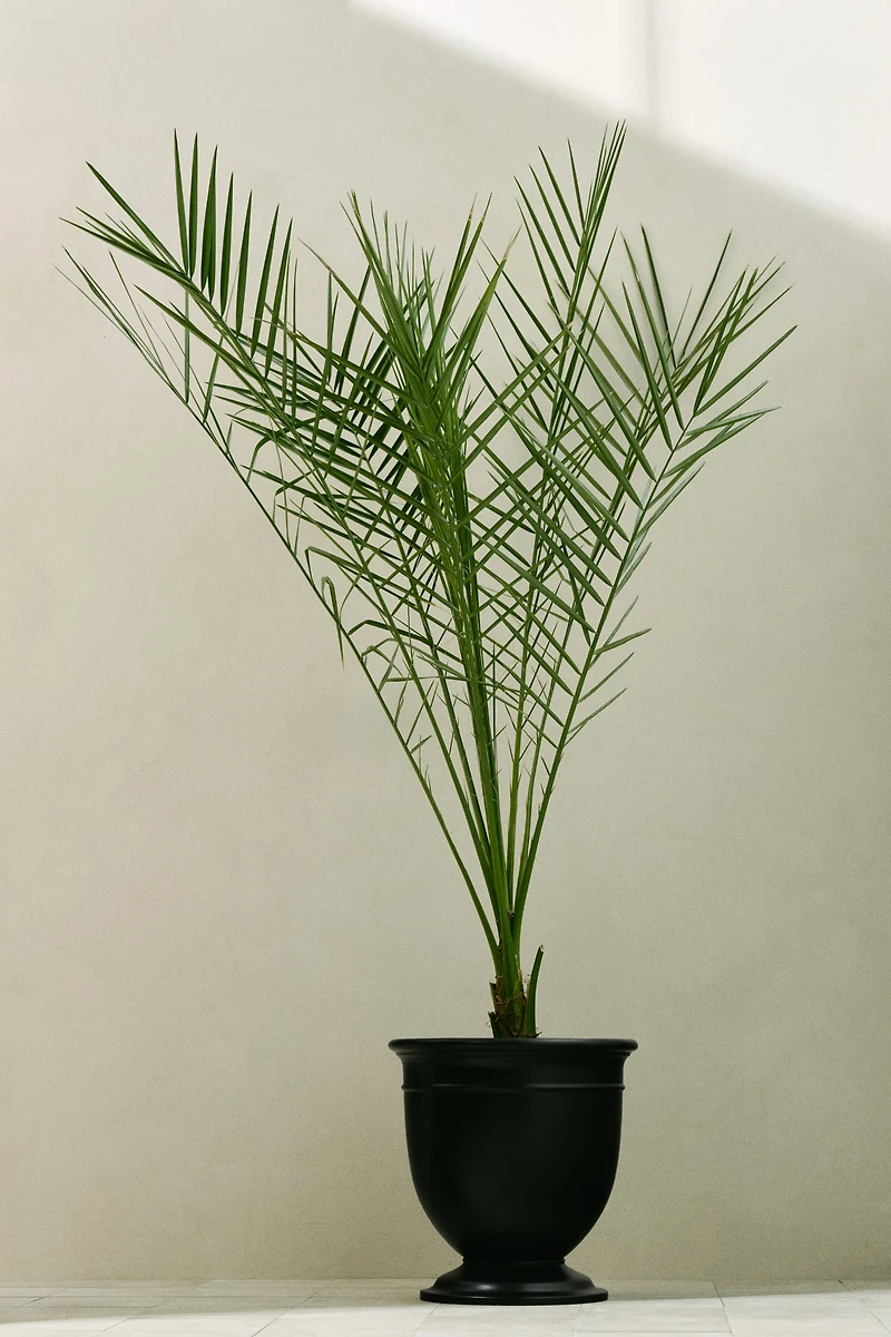 Extra-Large Metal Outdoor Plant Pot