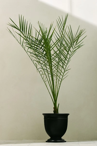 Extra-Large Metal Outdoor Plant Pot
