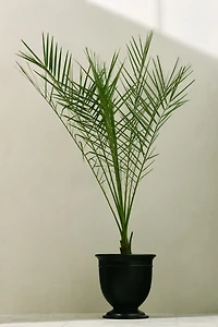 Extra-Large Metal Outdoor Plant Pot