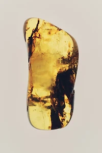 Adventure Seeker Fragrance