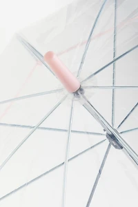 Transparent Umbrella