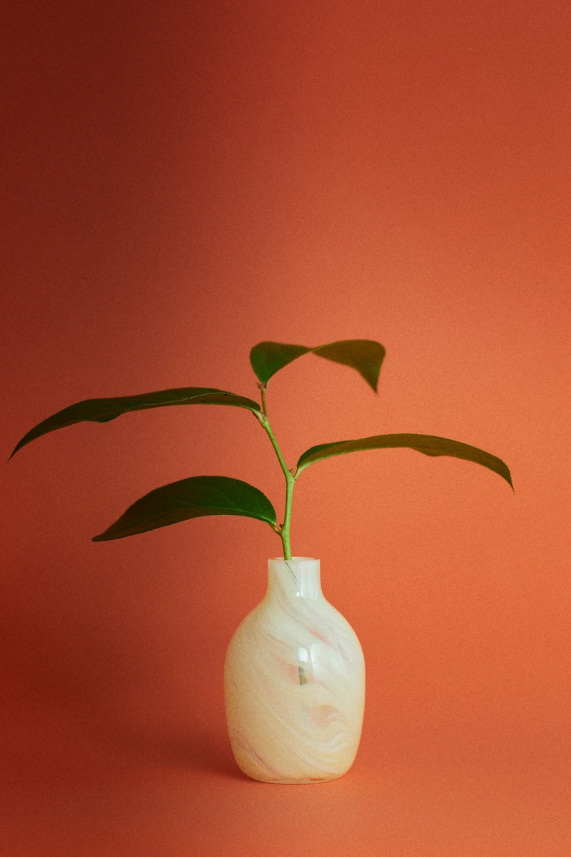 Small Glass Vase