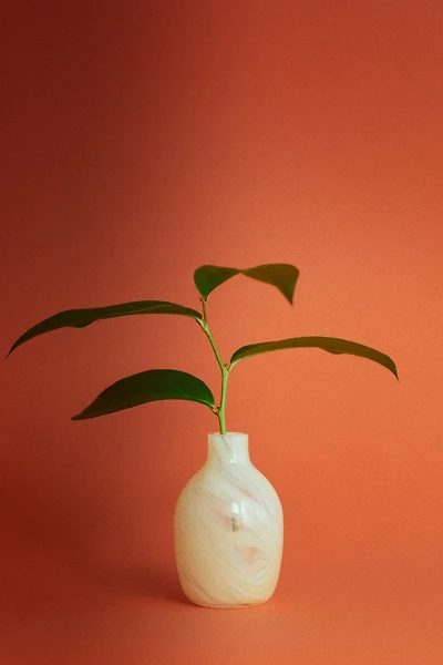 Small Glass Vase