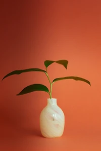 Small Glass Vase