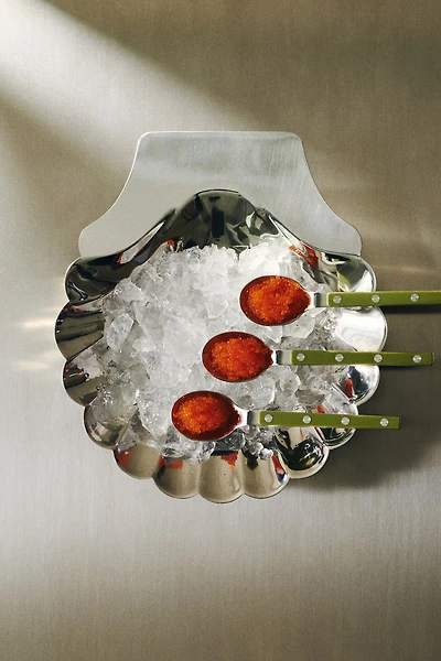 Seashell-shaped serving bowl