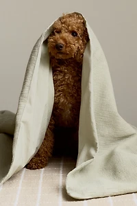 Waffled Crib Duvet Cover Set