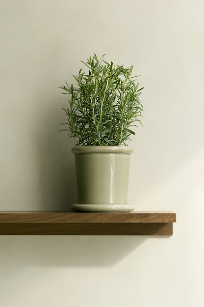Extra-Small Stoneware Plant Pot with Saucer