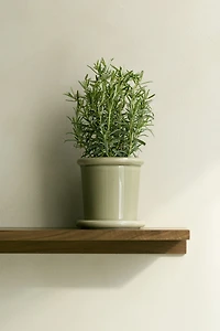 Extra-Small Stoneware Plant Pot with Saucer