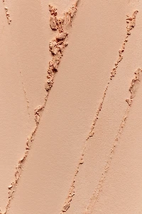 Perfect Finishing Icon Mattifying Powder
