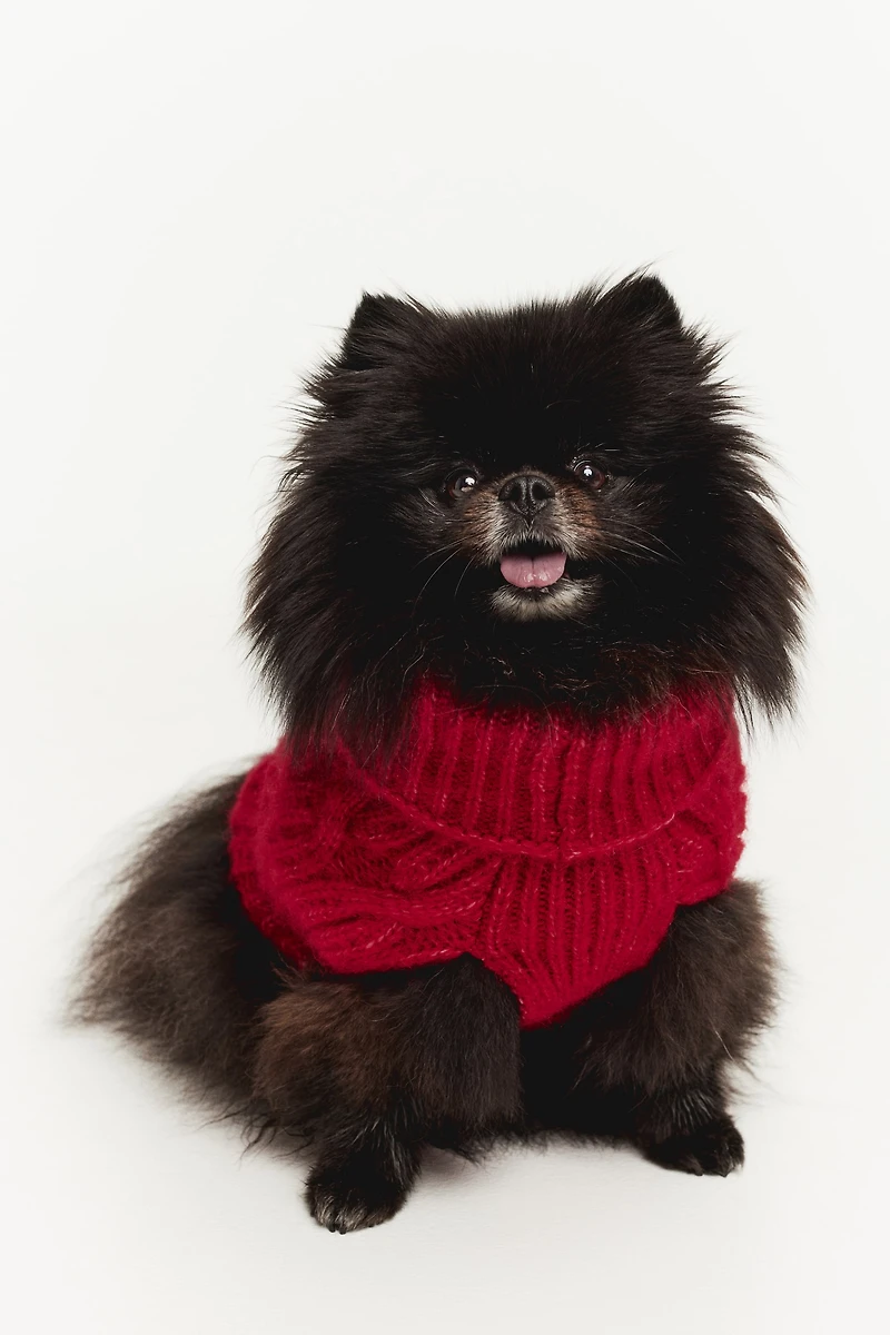 Cable-knit Dog Sweater