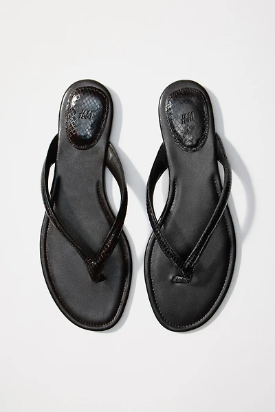Flip-Flops