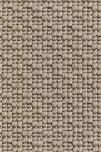 Indoor/Outdoor Rug