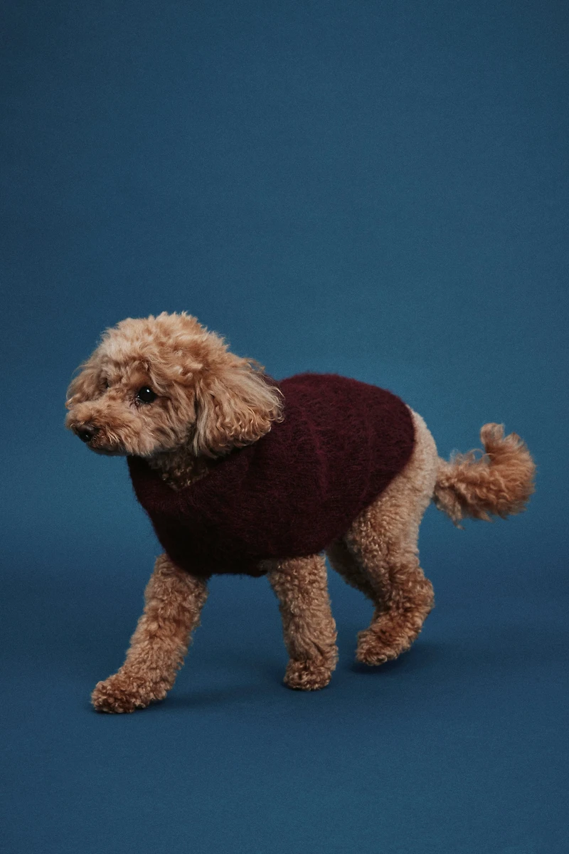 Fluffy-Knit Dog Sweater