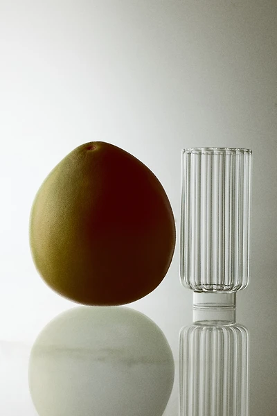 2-Pack Fluted Highball Glasses