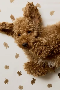 Drap-housse pour bébé