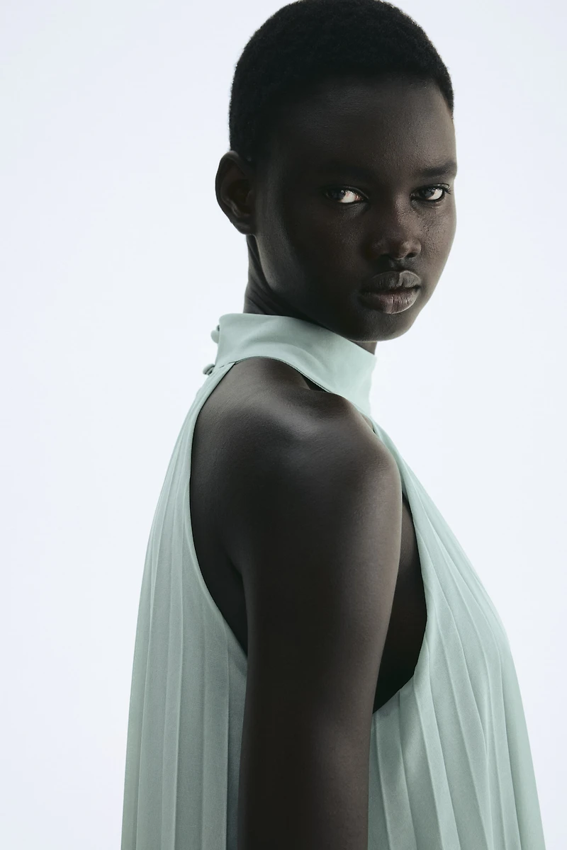 Pleated Dress