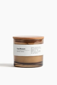 Scented Candle in Glass Holder