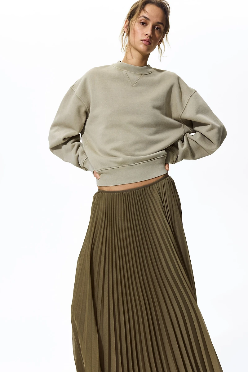 Sheer Pleated Skirt